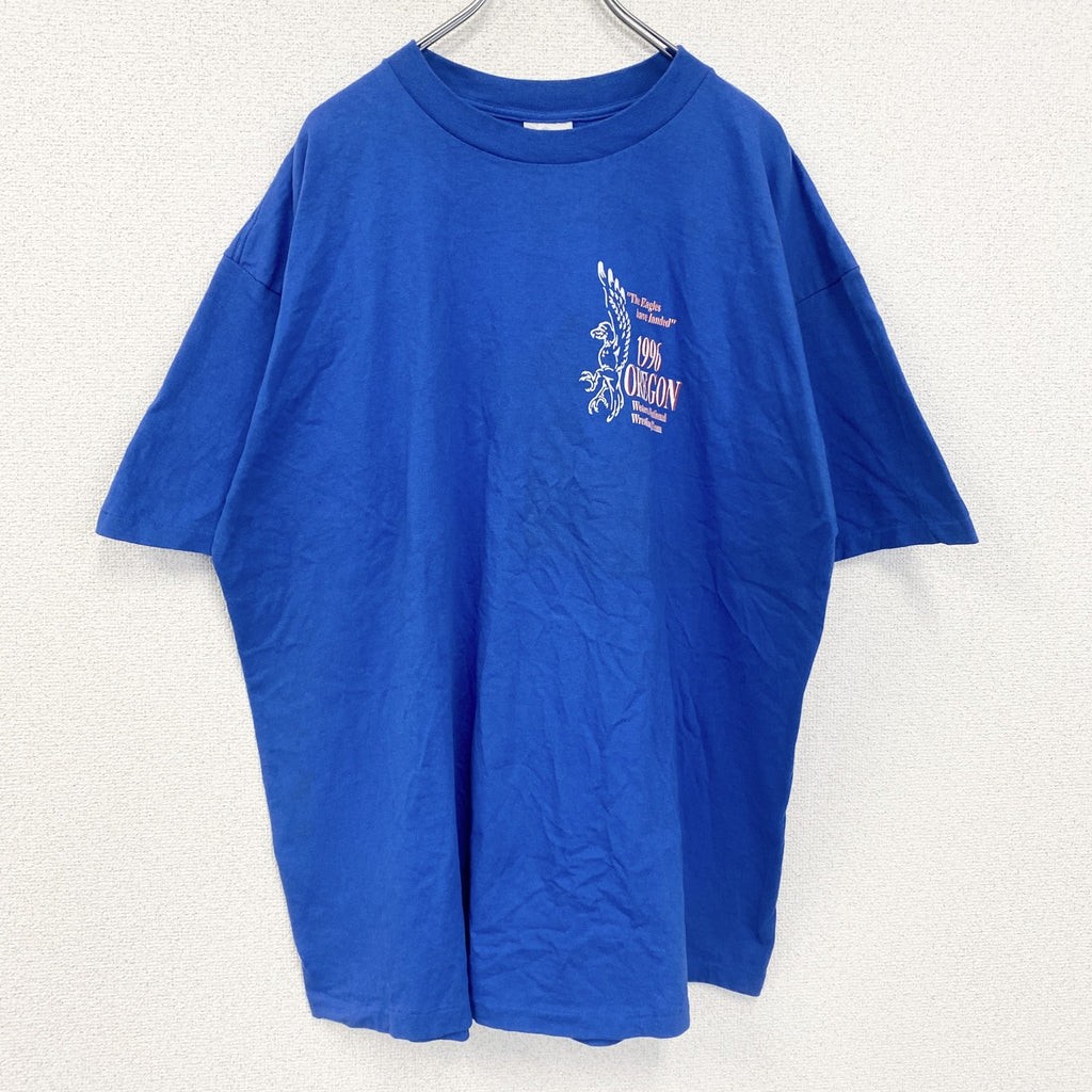 古着 used　GILDAN　ギルダン　半袖プリントTシャツ　90s　クルーネック　シングルステッチ　レトロ　ブルー　XXLサイズ