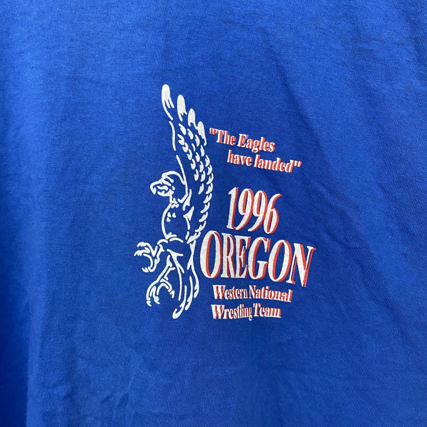 古着 used　GILDAN　ギルダン　半袖プリントTシャツ　90s　クルーネック　シングルステッチ　レトロ　ブルー　XXLサイズ