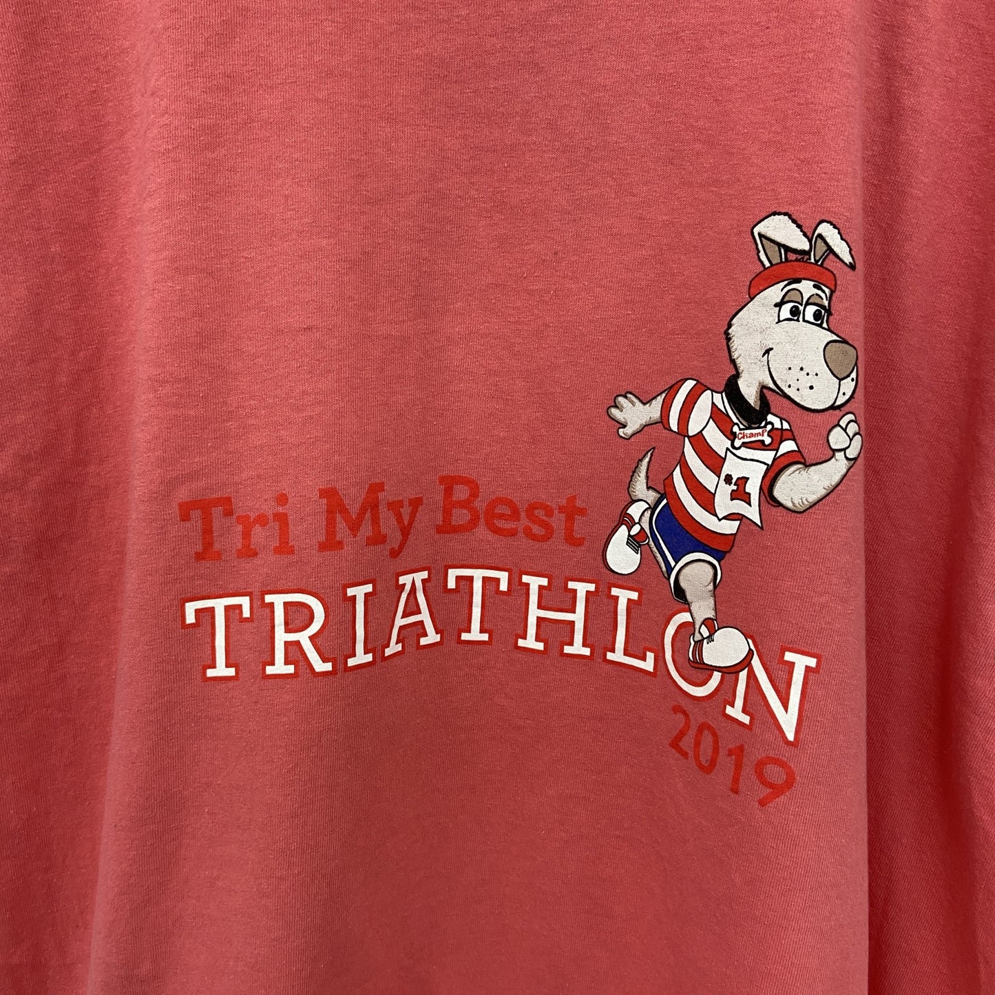 古着 used　GILDAN ギルダン　半袖プリントTシャツ　犬　dog　ピンク　カジュアルデザイン　レトロ　XLサイズ