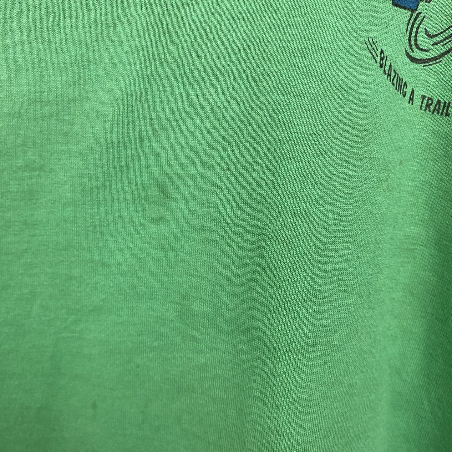 古着 used 　FRUIT OF THE LOOM　半袖プリントTシャツ　90s　クルーネック　シングルステッチ　緑　XLサイズ