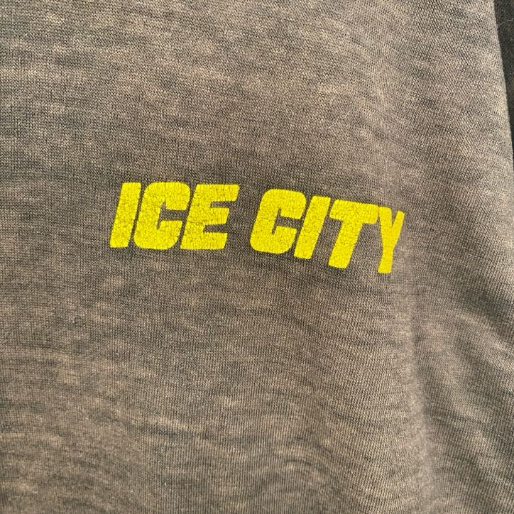 古着 used　90s　半袖プリントTシャツ　USA製　薄手　シングルステッチ　クルーネック　茶色　ブラウン　Lサイズ
