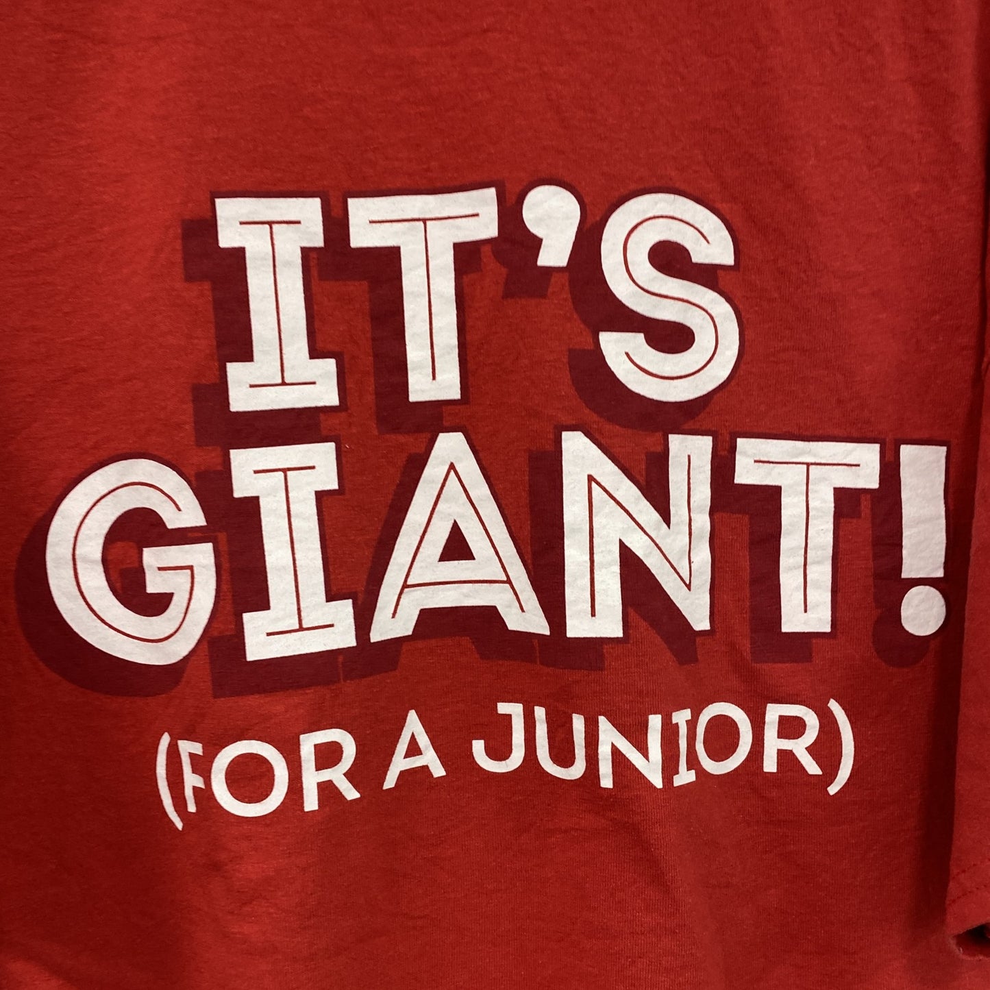 GILDAN　ギルダン　Wendy's　ウェンディーズ　半袖Tシャツ　企業ロゴ　赤　レッド　XLサイズ