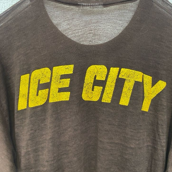 古着 used　90s　半袖プリントTシャツ　USA製　薄手　シングルステッチ　クルーネック　茶色　ブラウン　Lサイズ