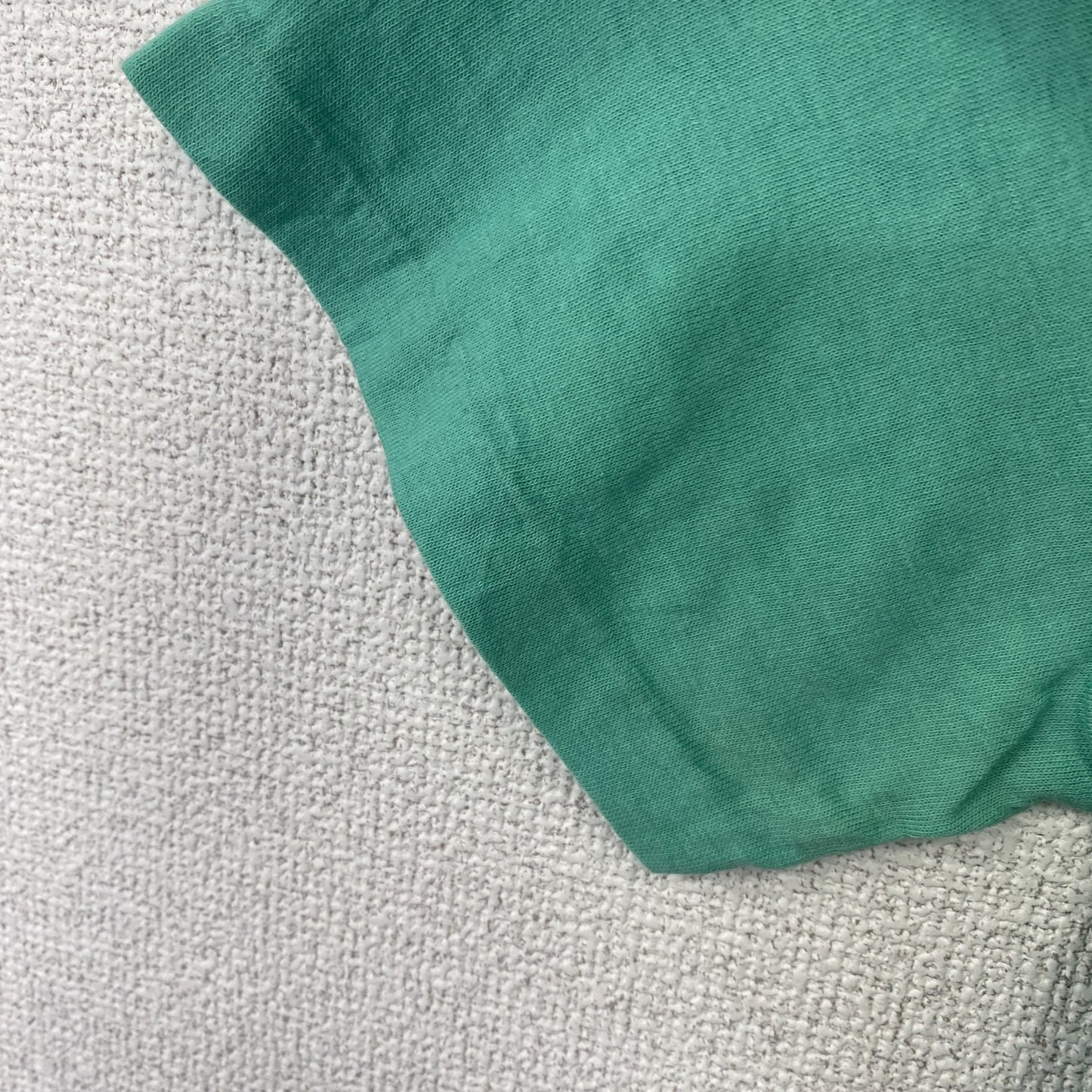 古着 used　オニータ　90s　半袖プリントTシャツ　USA製　シングルステッチ　草　リーフ　緑　グリーン　Lサイズ