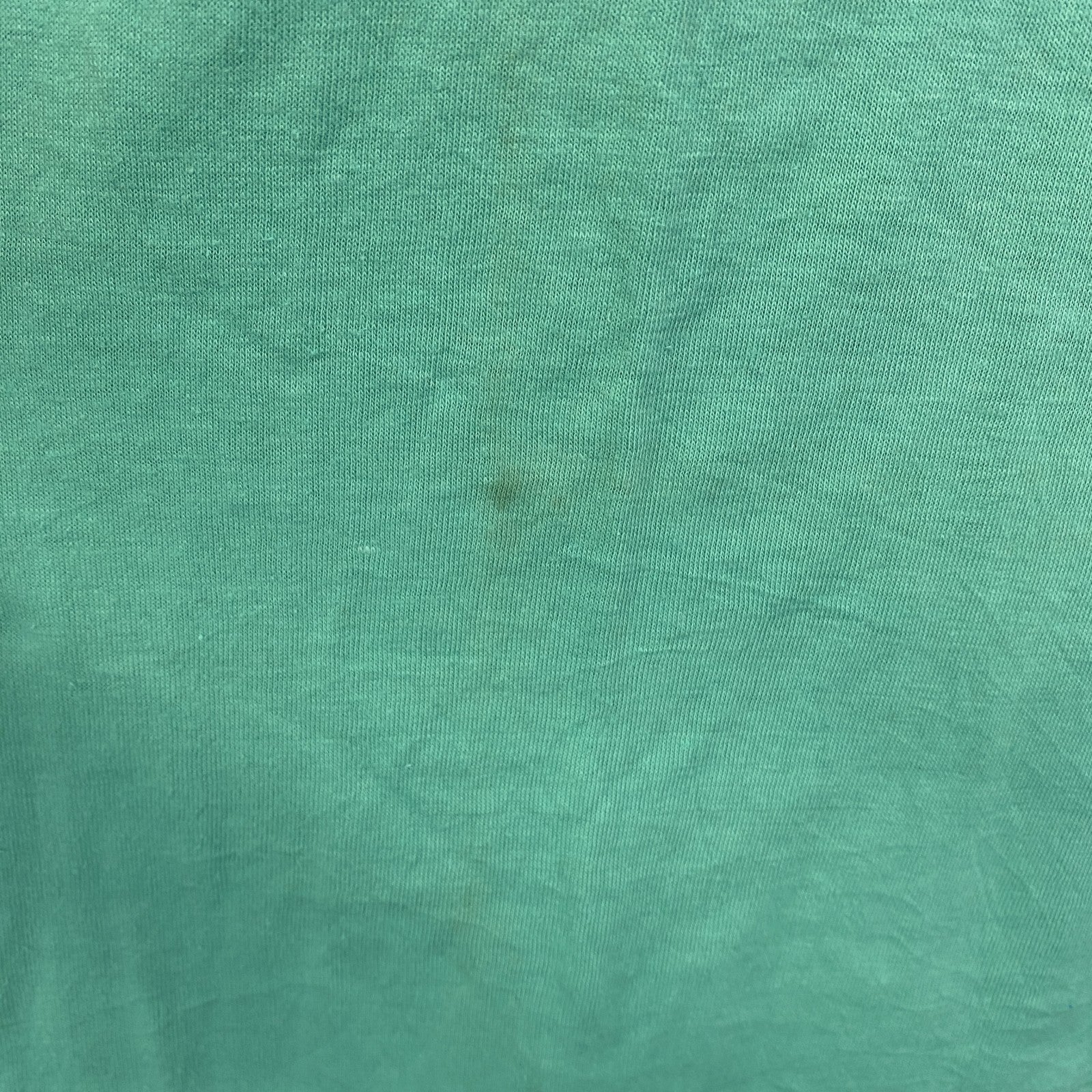 古着 used　オニータ　90s　半袖プリントTシャツ　USA製　シングルステッチ　草　リーフ　緑　グリーン　Lサイズ