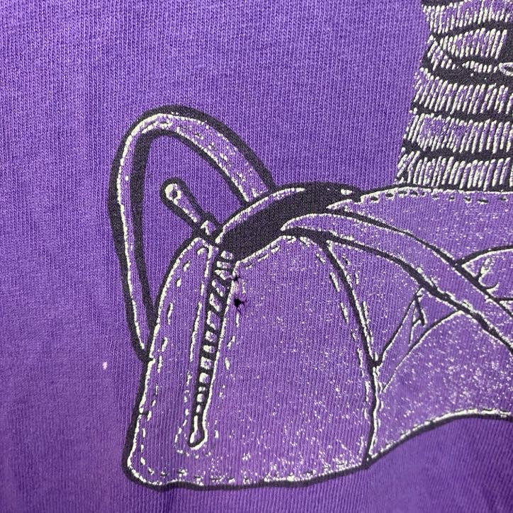 古着 used　フルーツオブザルーム　90s　半袖プリントTシャツ　コットン100%　シングルステッチ　猫　紫　Lサイズ