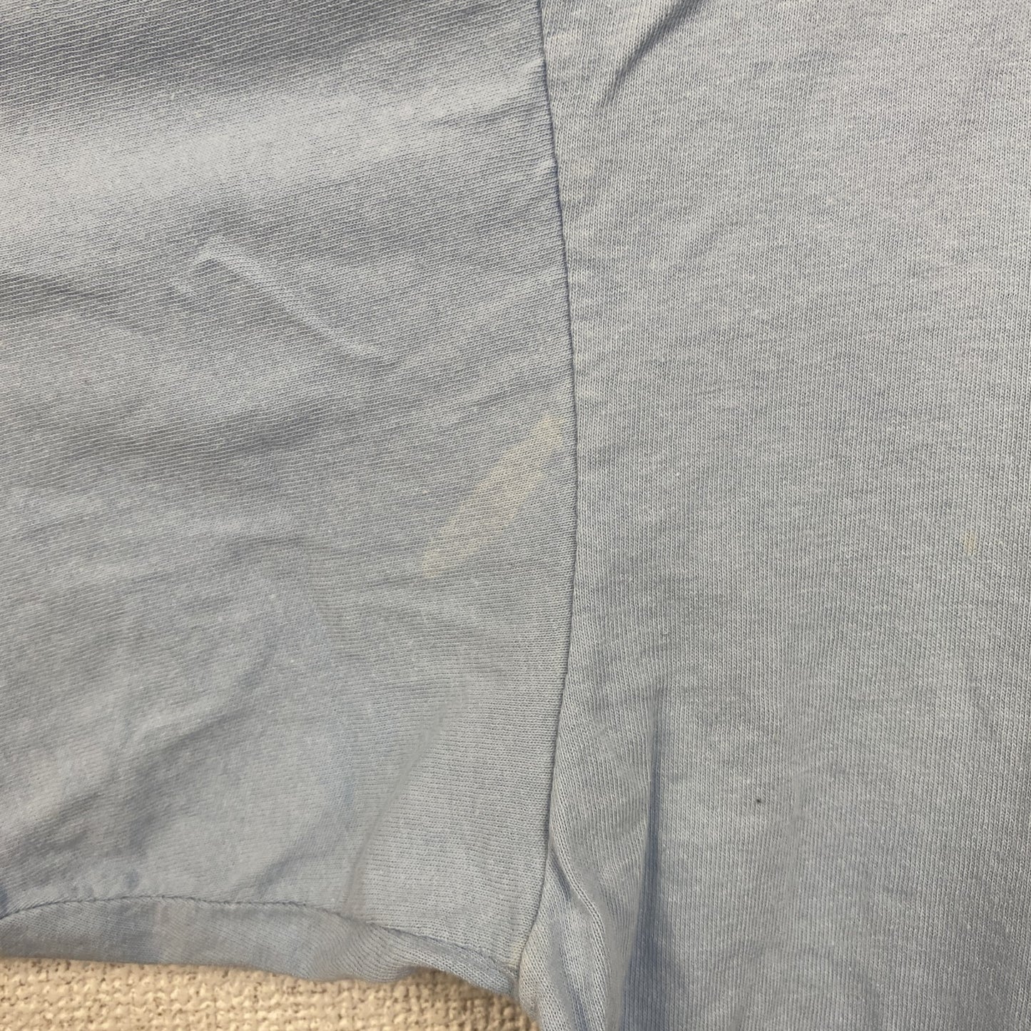古着 used　90s　半袖プリントTシャツ　USA製　コットン100%　シングルステッチ　花　蝶　水色　ライトブルー　Lサイズ