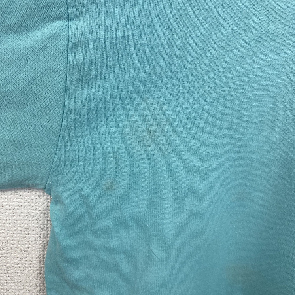 古着 used　90s　1994　半袖プリントTシャツ　ヴィンテージ　クルーネック　レトロデザイン　水色　ライトブルー　XLサイズ
