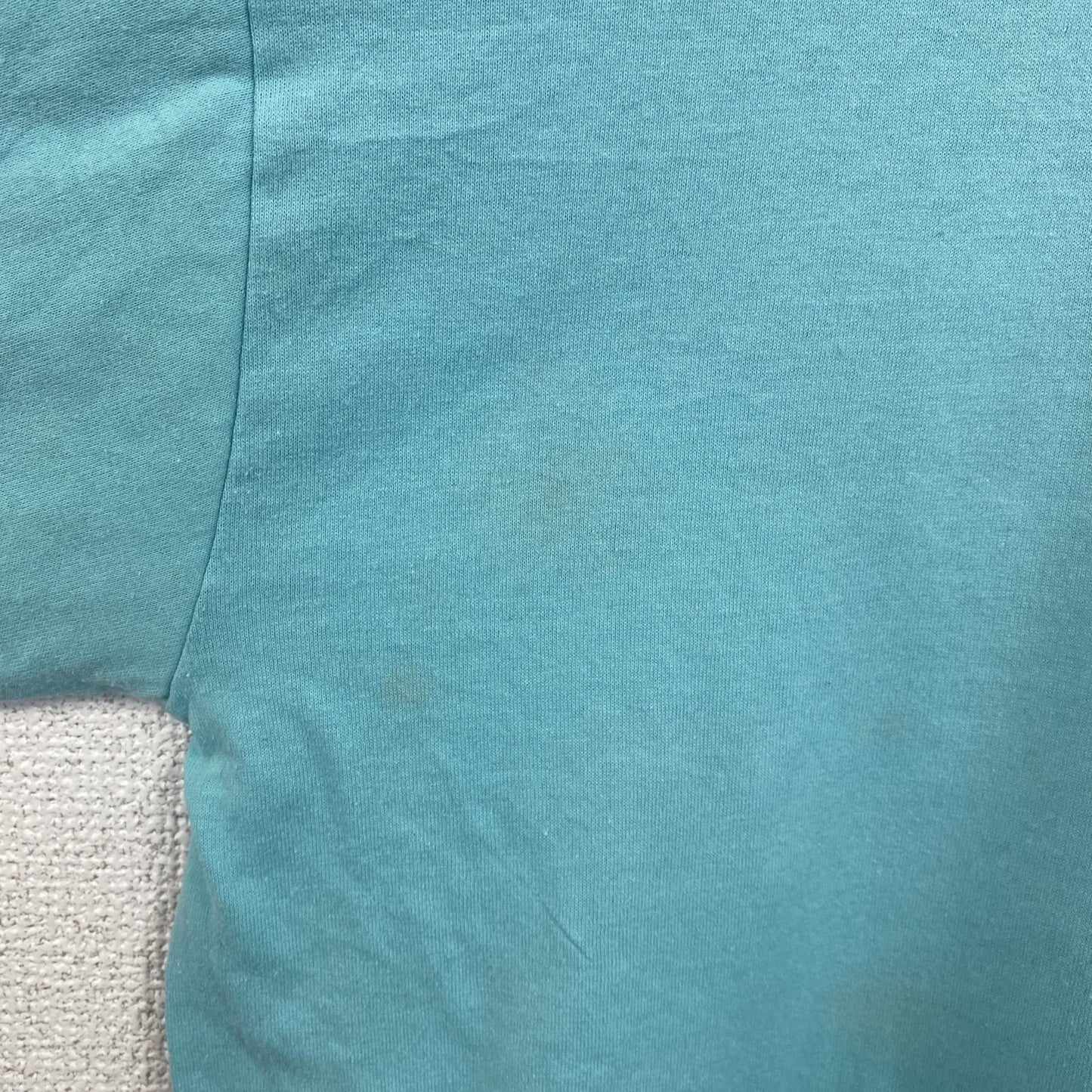 古着 used　90s　1994　半袖プリントTシャツ　ヴィンテージ　クルーネック　レトロデザイン　水色　ライトブルー　XLサイズ