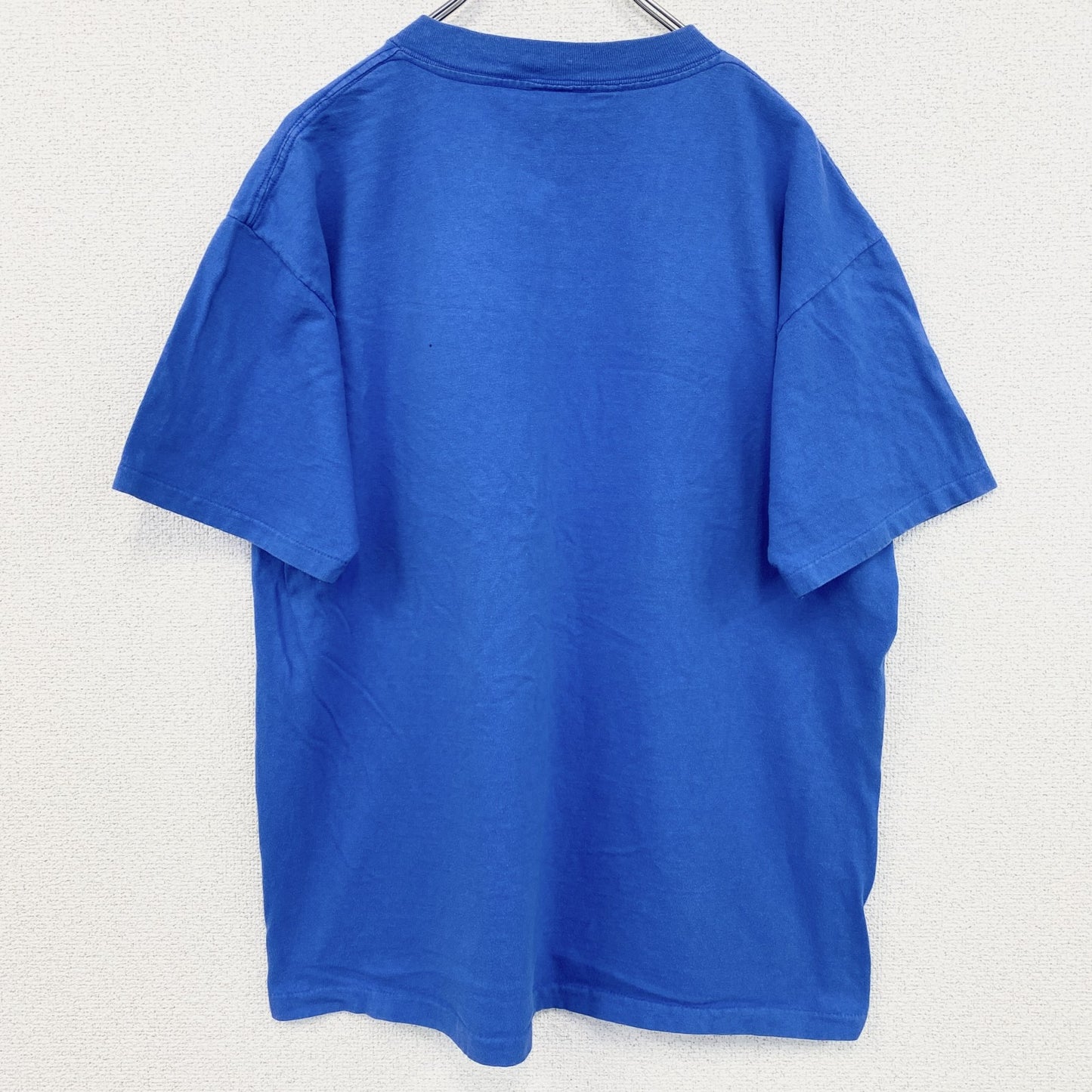 古着 used　半袖プリントTシャツ　レトロデザイン　クルーネック　シングルステッチ　グランドキャニオン　青　ブルー　Lサイズ
