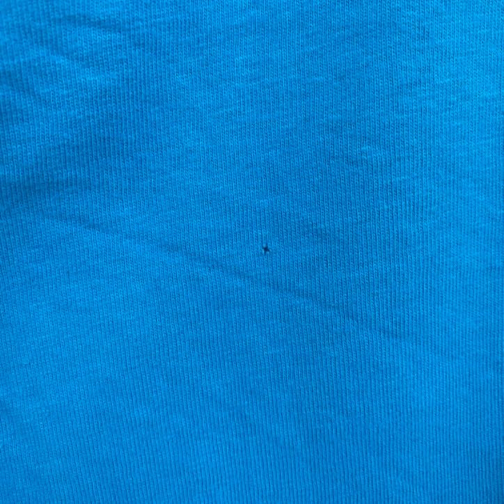 古着 used　Hanes　半袖プリントTシャツ　シングルステッチ　レトロ　クルーネック　ヴィンテージ　青　ブルー　XLサイズ