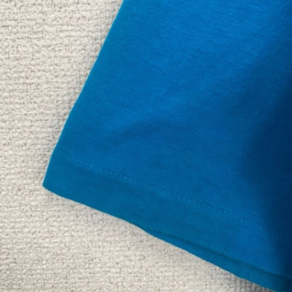 古着 used　Hanes　半袖プリントTシャツ　シングルステッチ　レトロ　クルーネック　ヴィンテージ　青　ブルー　XLサイズ