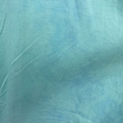 古着 used　Hanes　半袖プリントTシャツ　犬　アニマル　シングルステッチ　レトロ　クルーネック　ライトブルー　XLサイズ