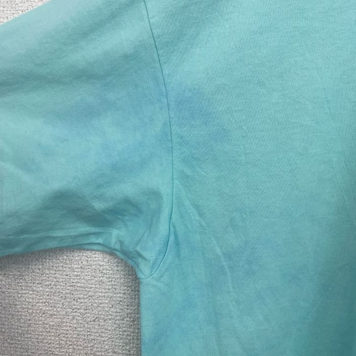古着 used　Hanes　半袖プリントTシャツ　犬　アニマル　シングルステッチ　レトロ　クルーネック　ライトブルー　XLサイズ