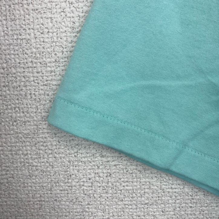 古着 used　Hanes　半袖プリントTシャツ　犬　アニマル　シングルステッチ　レトロ　クルーネック　ライトブルー　XLサイズ