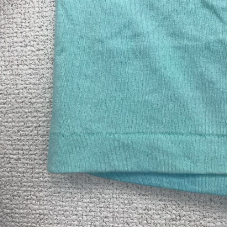 古着 used　Hanes　半袖プリントTシャツ　犬　アニマル　シングルステッチ　レトロ　クルーネック　ライトブルー　XLサイズ