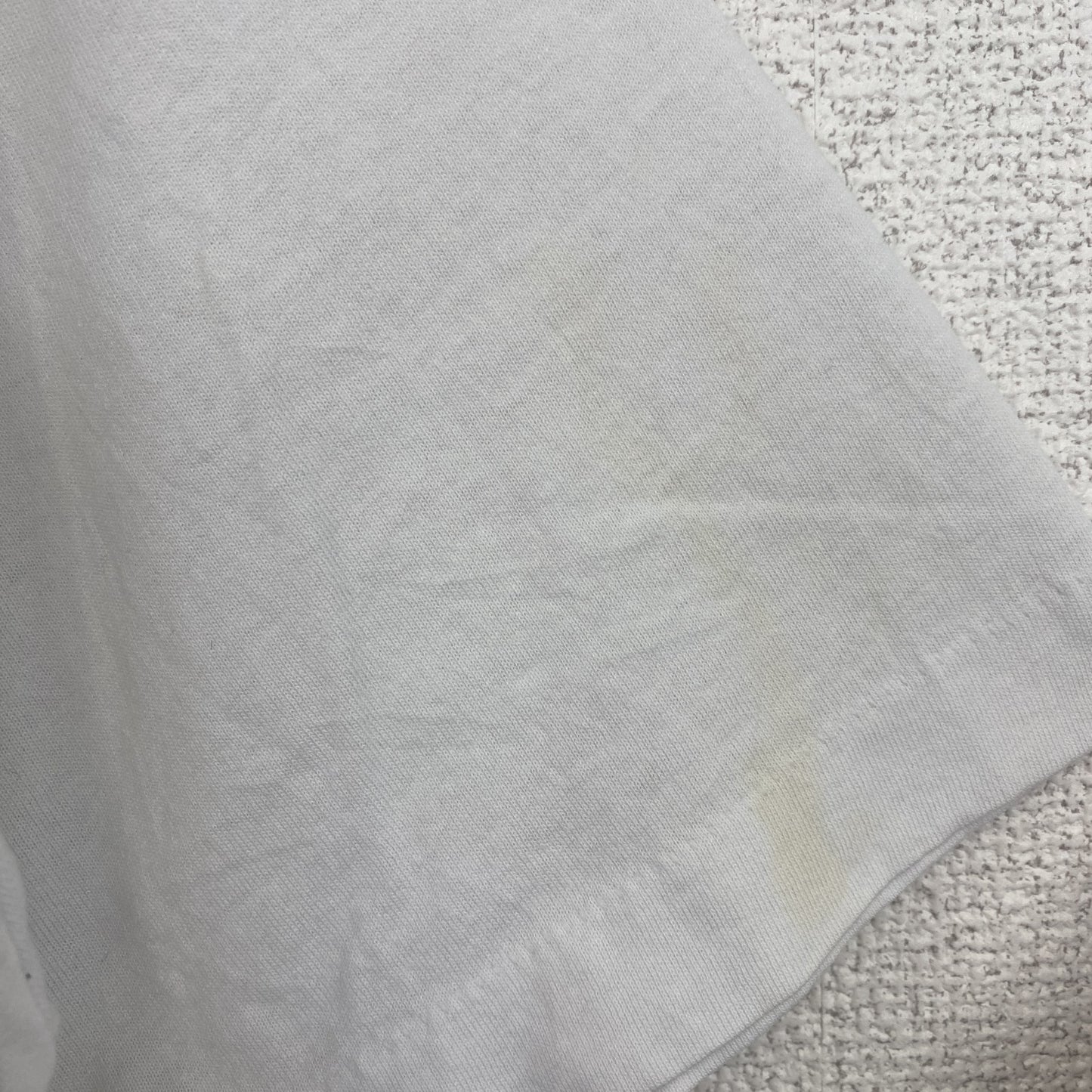 古着 used　半袖アニマルプリントTシャツ　シングルステッチ　クルーネック　ヴィンテージ　犬　ボストンテリア　白　ホワイト