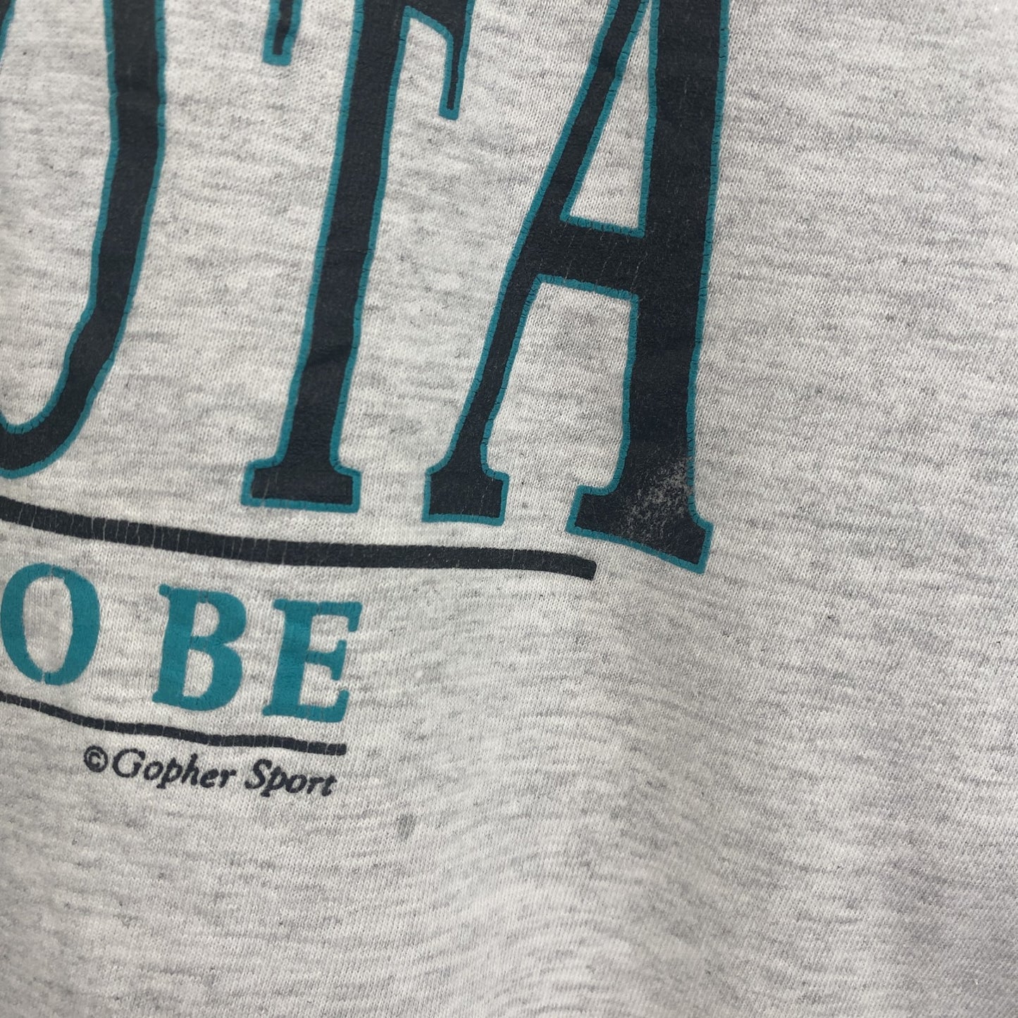 古着 used　JERZEES　半袖プリントTシャツ　レトロデザイン　クルーネック　ミネソタ　ライトグレー　XLサイズ