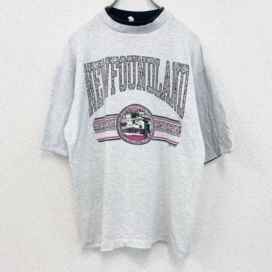 古着 used　90s　ヴィンテージ　半袖プリントTシャツ　カレッジ風　　灰色　ライトグレー　ニューファンドランド　Lサイズ
