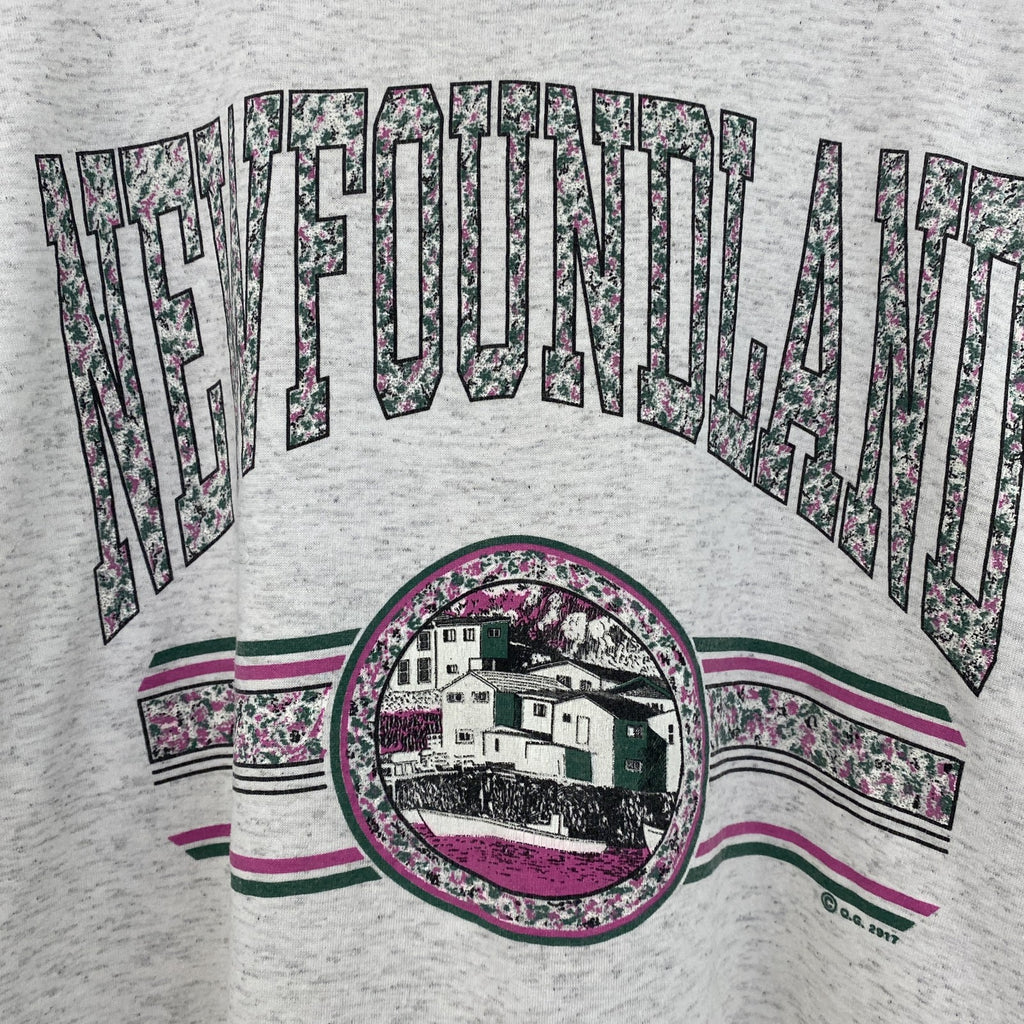 古着 used　90s　ヴィンテージ　半袖プリントTシャツ　カレッジ風　　灰色　ライトグレー　ニューファンドランド　Lサイズ
