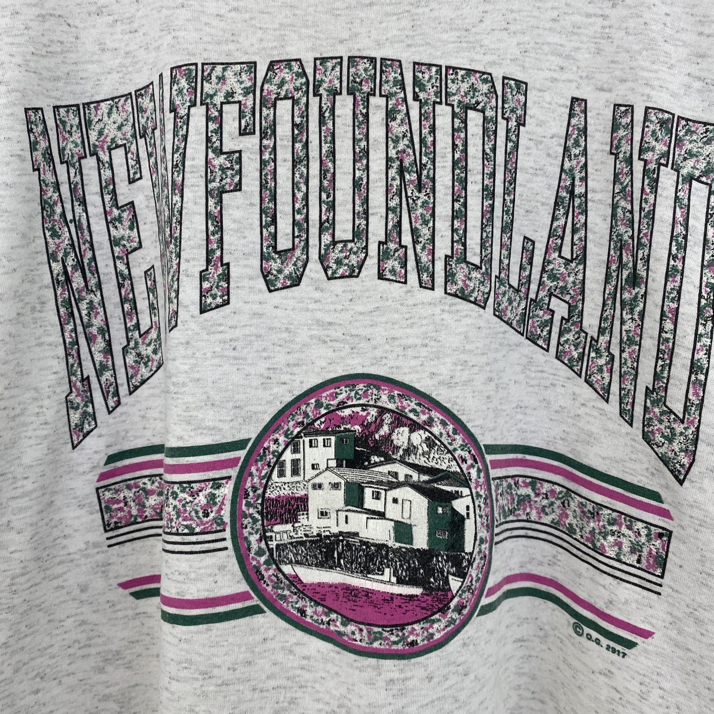 古着 used　90s　ヴィンテージ　半袖プリントTシャツ　カレッジ風　　灰色　ライトグレー　ニューファンドランド　Lサイズ