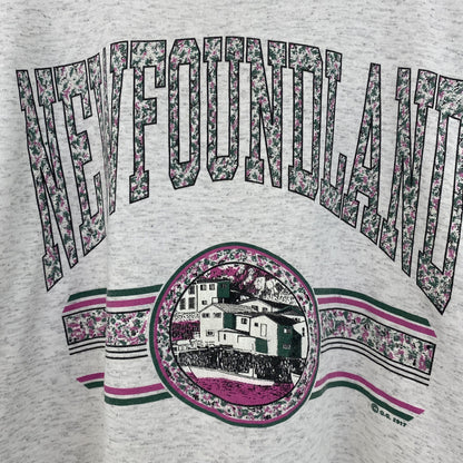 古着 used　90s　ヴィンテージ　半袖プリントTシャツ　カレッジ風　　灰色　ライトグレー　ニューファンドランド　Lサイズ