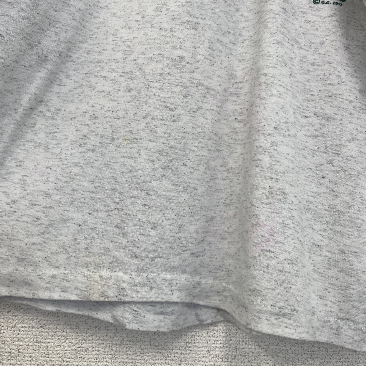 古着 used　90s　ヴィンテージ　半袖プリントTシャツ　カレッジ風　　灰色　ライトグレー　ニューファンドランド　Lサイズ
