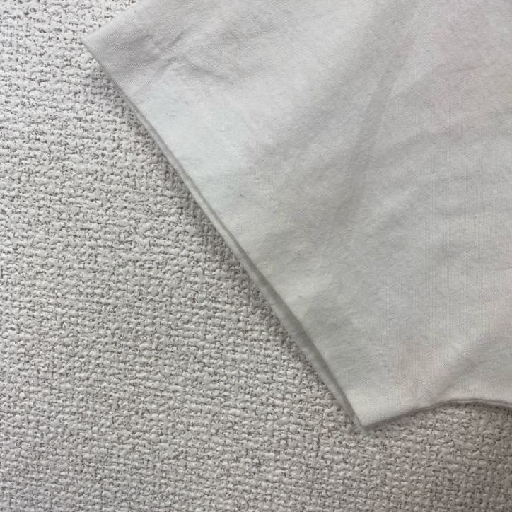 古着 used　ヘインズ　半袖プリントTシャツ　USA製　コヨーテ　サボテン　クルーネック　レトロデザイン　Lサイズ