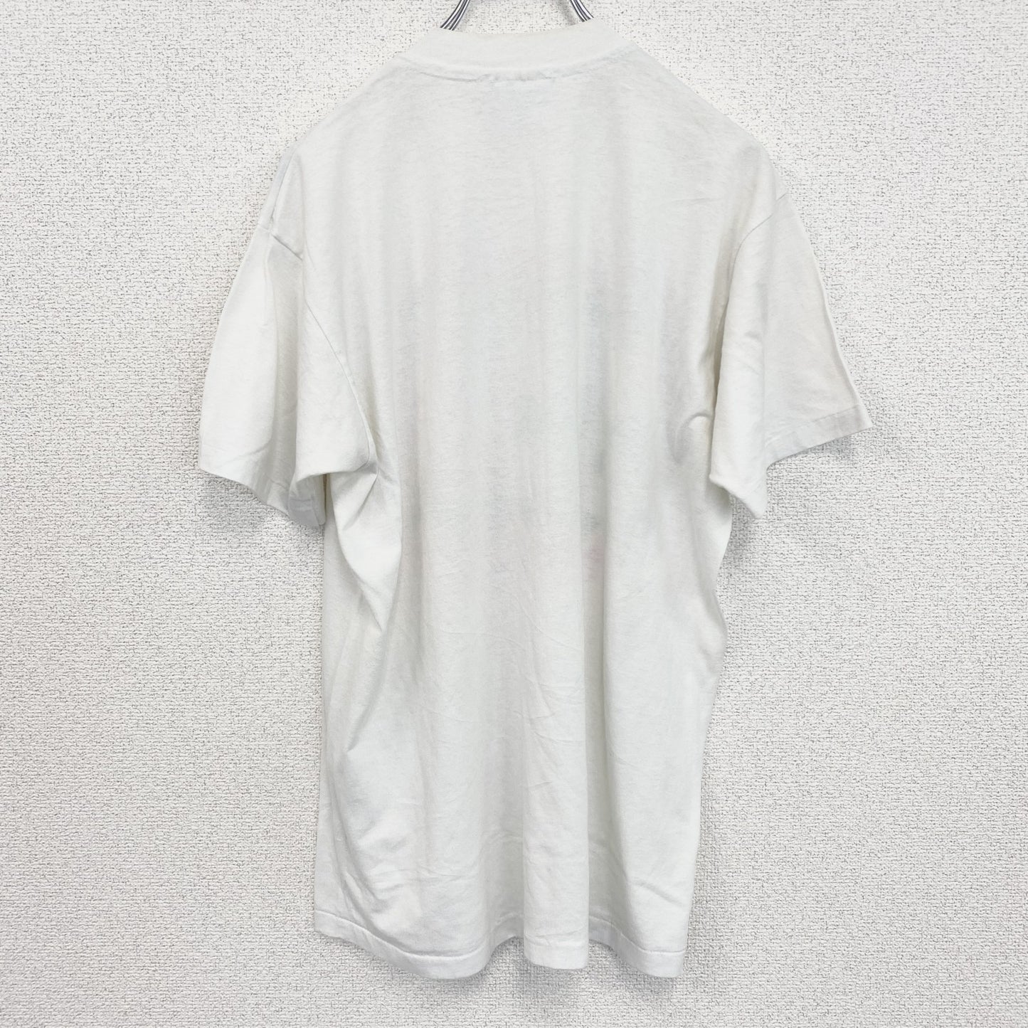 古着 used　ヘインズ　半袖プリントTシャツ　USA製　コヨーテ　サボテン　クルーネック　レトロデザイン　Lサイズ