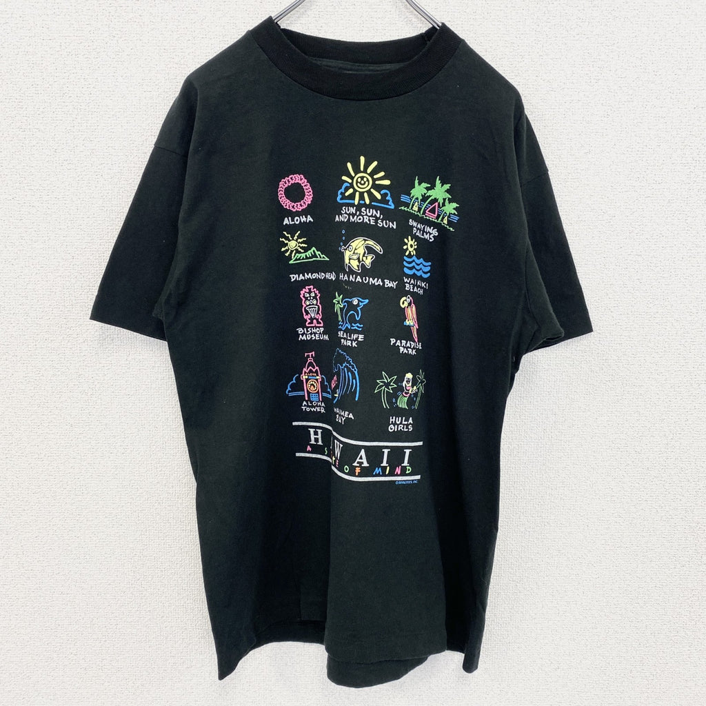 古着 used　フルーツオブザルーム　USA製　100％コットン　半袖プリントTシャツ　サマー　ハワイ　シングルステッチ　Lサイズ