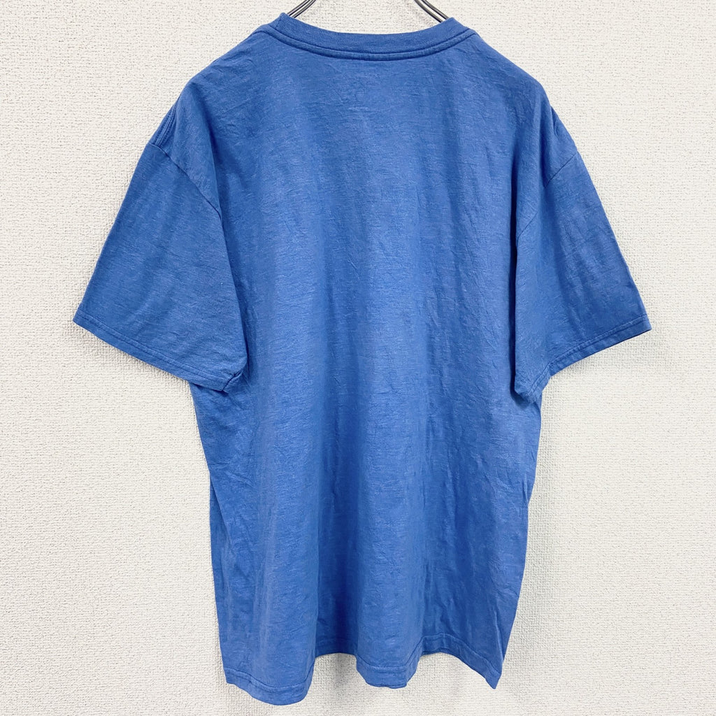 古着 used　BILLA BONG　ビラボン　半袖プリントTシャツ　マウンテン柄　青　クルーネック　レトロ　Lサイズ