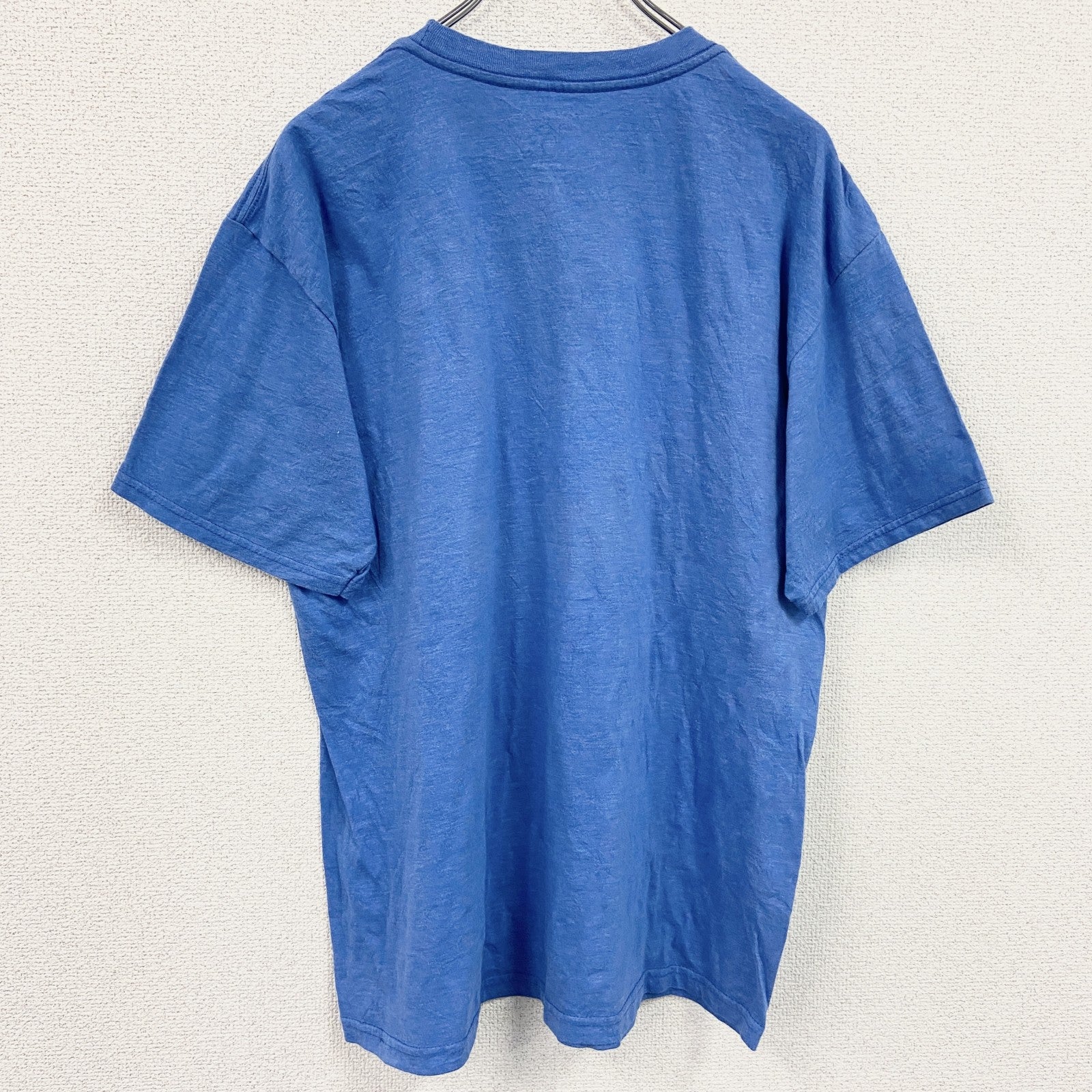 古着 used　BILLA BONG　ビラボン　半袖プリントTシャツ　マウンテン柄　青　クルーネック　レトロ　Lサイズ