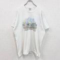 古着 used　フルーツオブザルーム　半袖アニマルプリントTシャツ　猫　キャット　シングルステッチ　XLサイズ