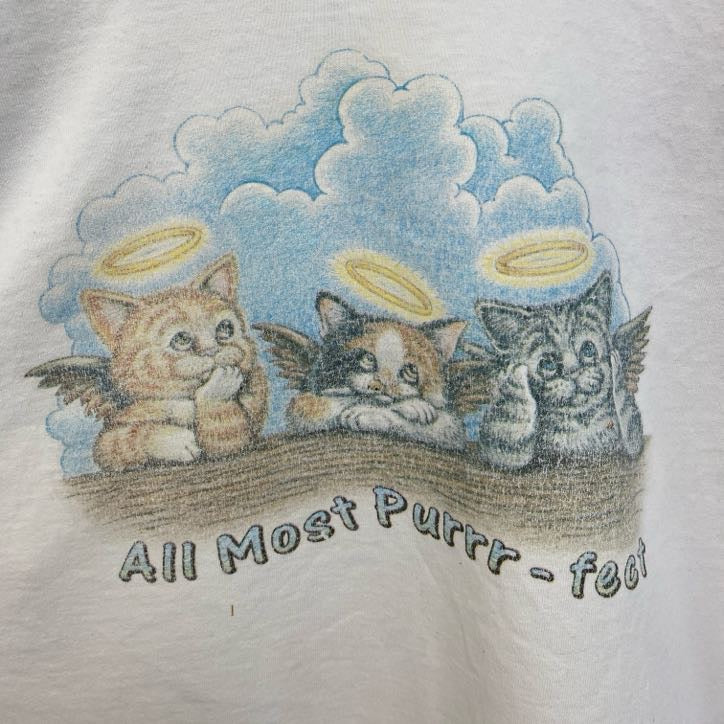 古着 used　フルーツオブザルーム　半袖アニマルプリントTシャツ　猫　キャット　シングルステッチ　XLサイズ