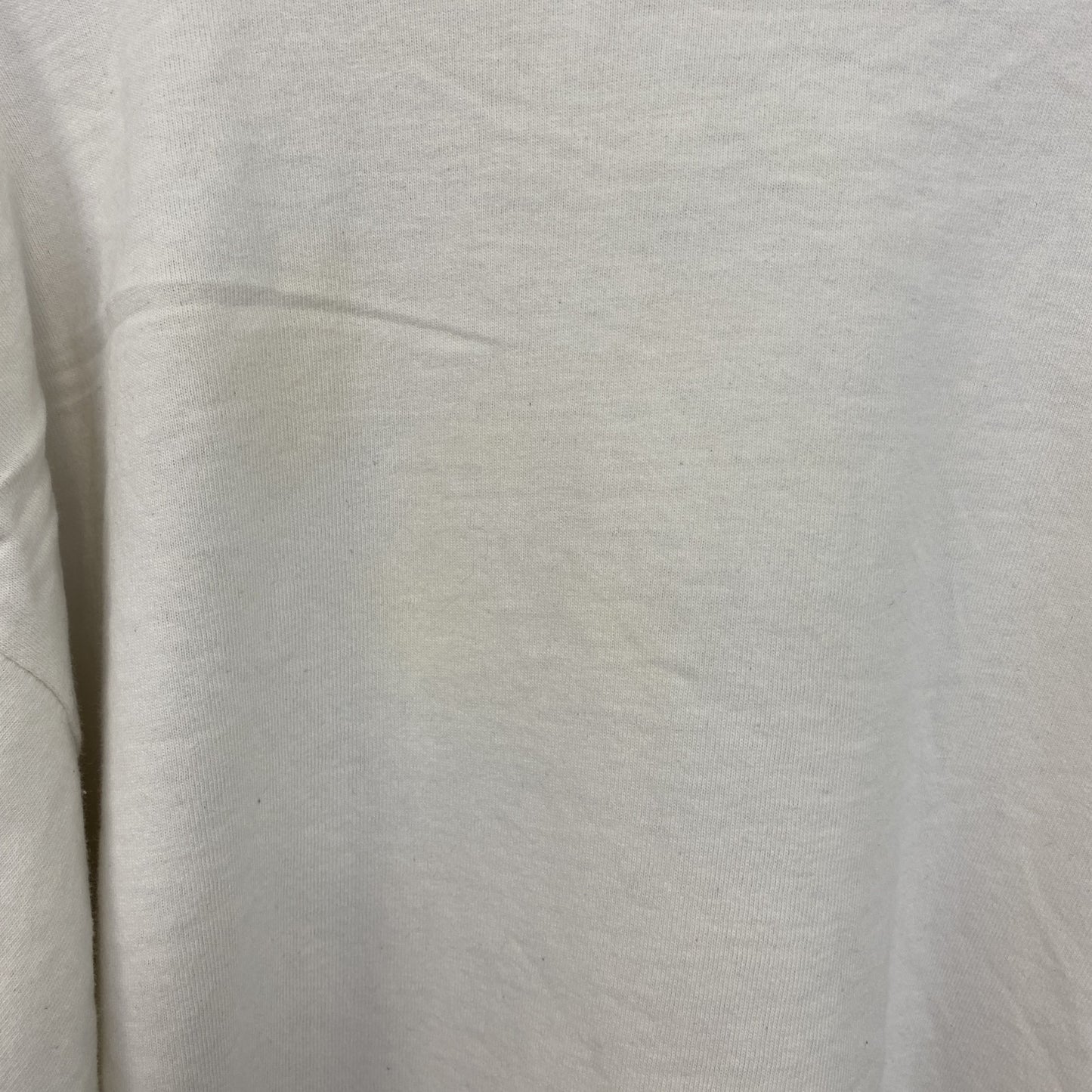 古着 used　フルーツオブザルーム　半袖アニマルプリントTシャツ　猫　キャット　シングルステッチ　XLサイズ