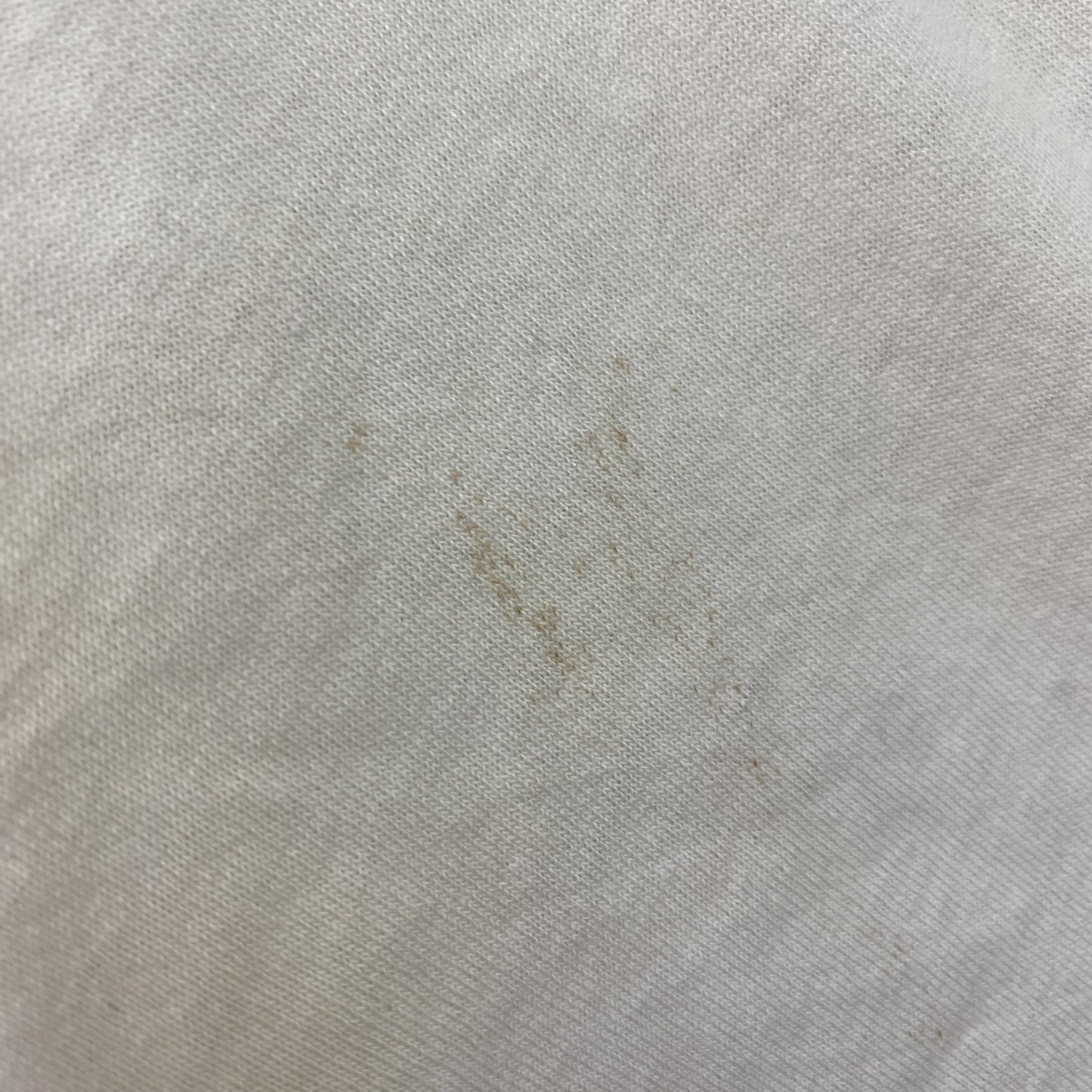 古着 used　FURUIT OF THE LOOM　半袖プリントTシャツ　US製　カジュアル　レトロ　クルーネック　白　Lサイズ