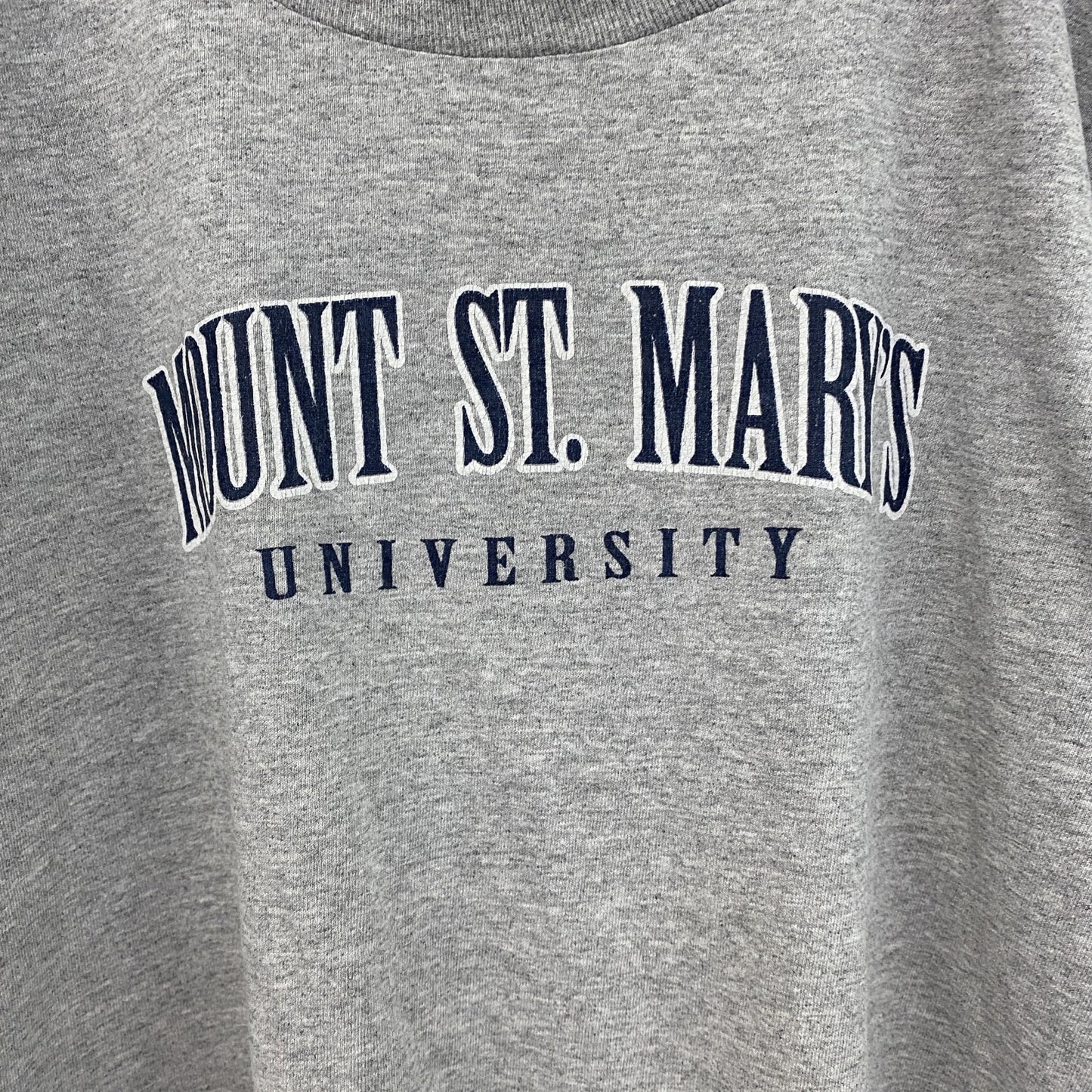 古着 used　半袖プリントTシャツ　チャンピオン　カレッジ　灰色　ライトグレー　レトロデザイン　クルーネック　XLサイズ