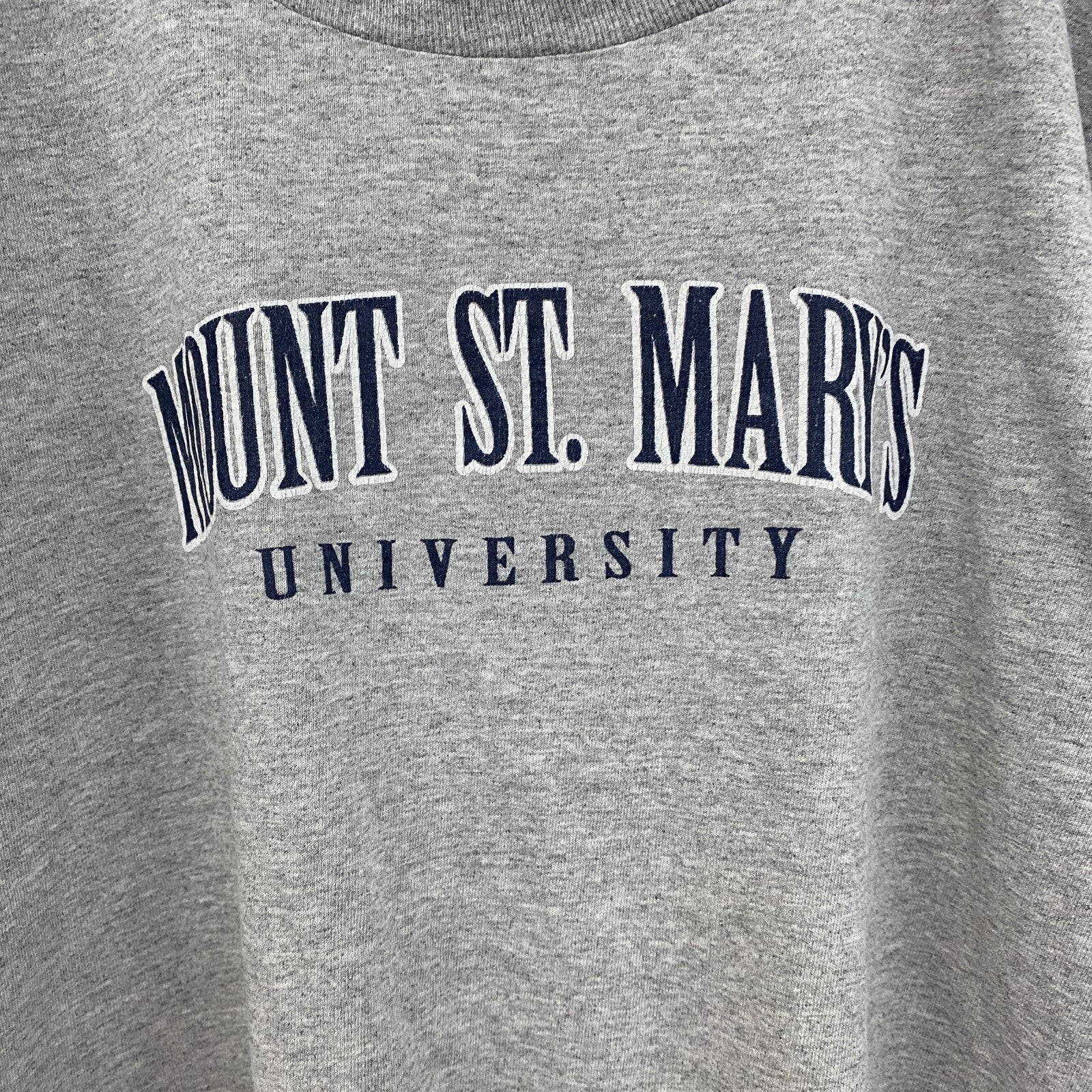 古着 used　半袖プリントTシャツ　チャンピオン　カレッジ　灰色　ライトグレー　レトロデザイン　クルーネック　XLサイズ