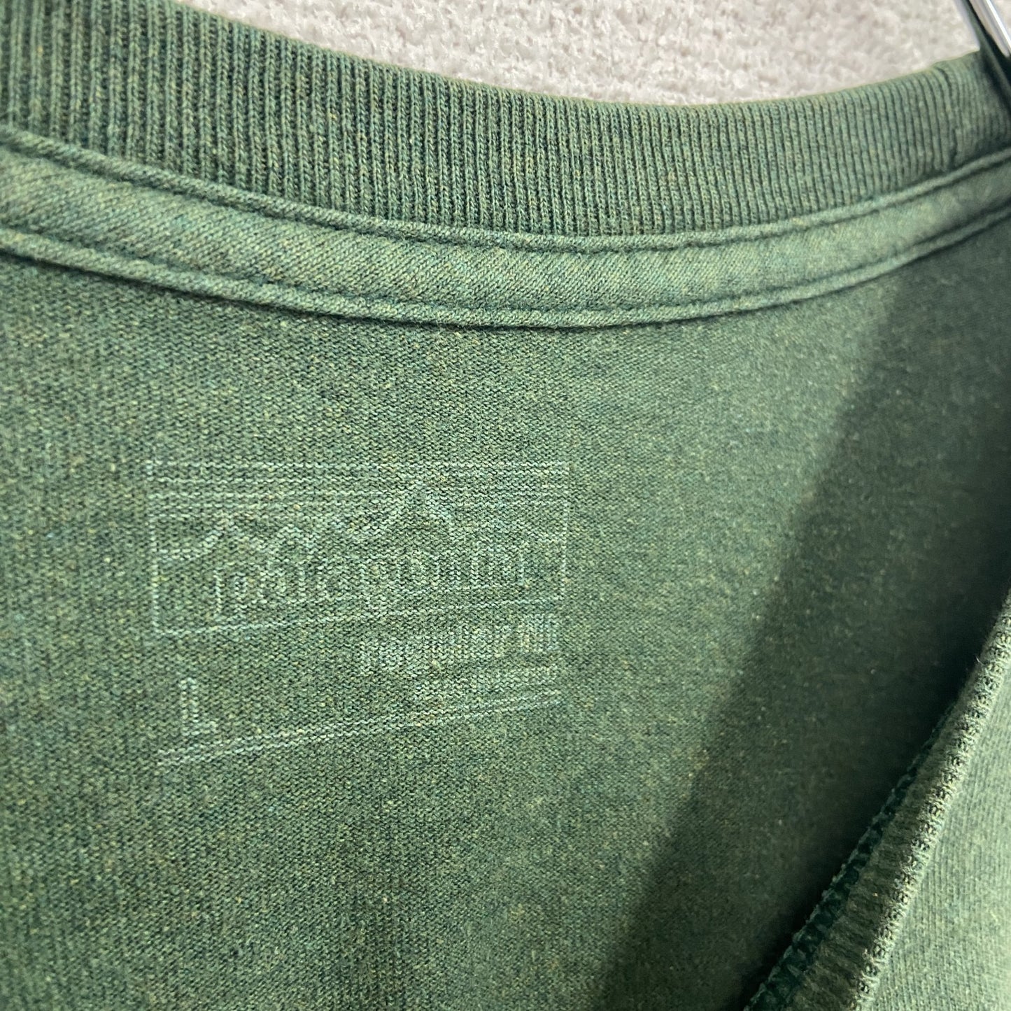 Patagonia　パタゴニア　半袖プリントTシャツ　緑　グリーン　Lサイズ