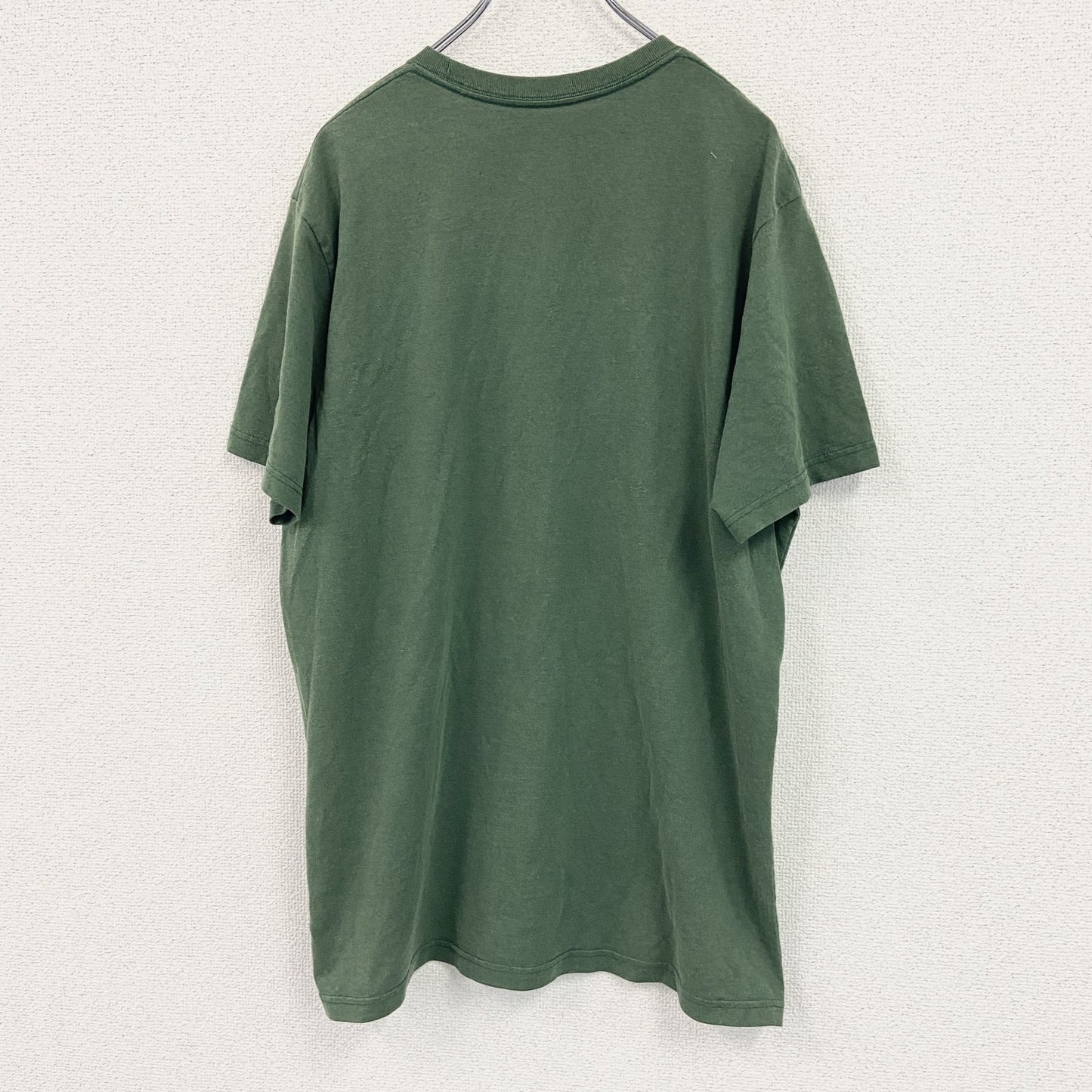 Patagonia　パタゴニア　半袖プリントTシャツ　緑　グリーン　Lサイズ