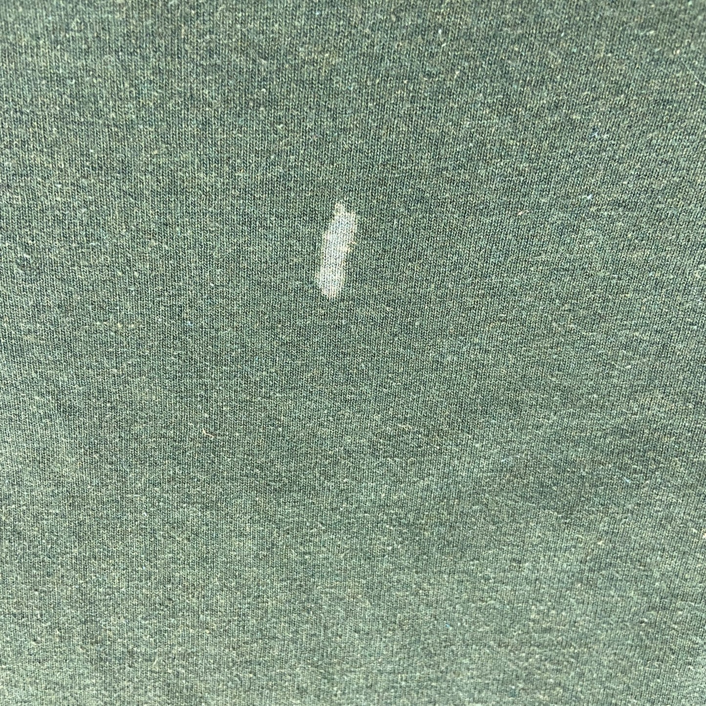 Patagonia　パタゴニア　半袖プリントTシャツ　緑　グリーン　Lサイズ