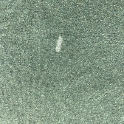 Patagonia　パタゴニア　半袖プリントTシャツ　緑　グリーン　Lサイズ