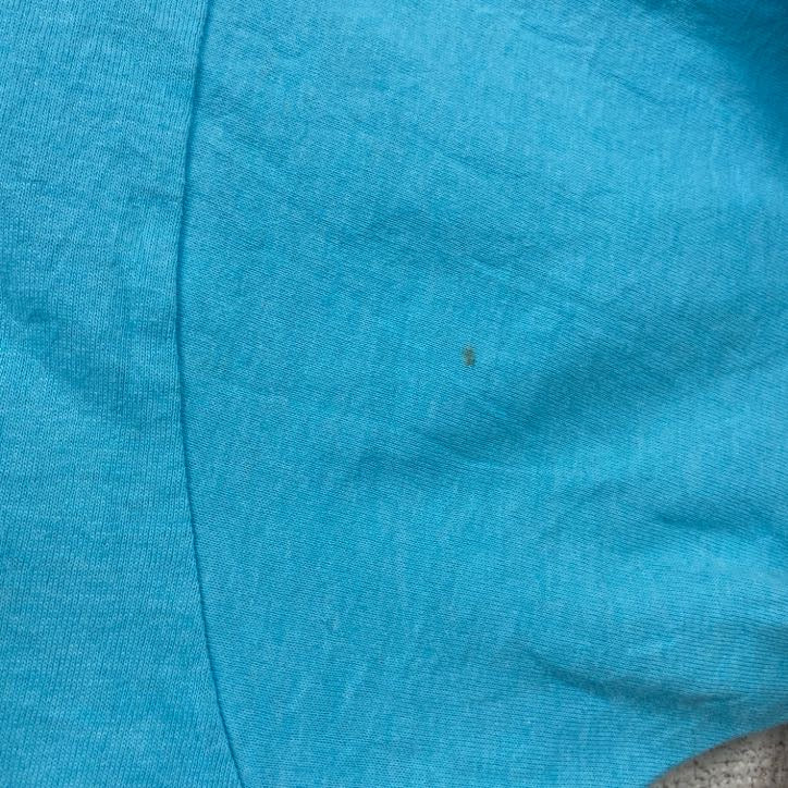 古着 used　80s　FRUIT OF THE LOOM　半袖プリントTシャツ　クルーネック　水色　ライトブルー　XLサイズ