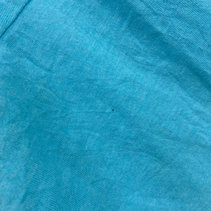 古着 used　80s　FRUIT OF THE LOOM　半袖プリントTシャツ　クルーネック　水色　ライトブルー　XLサイズ