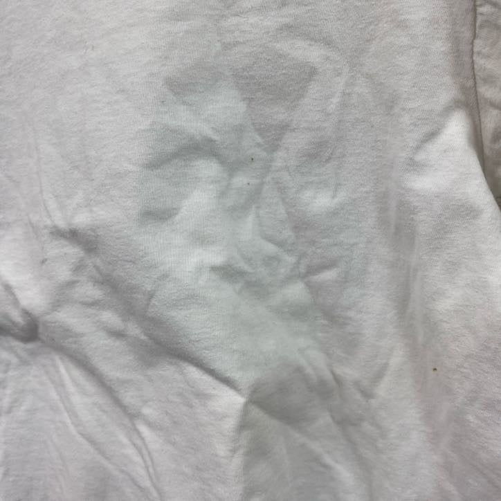 古着 used　FRUIT OF THE LOOＭ　半袖プリントTシャツ　シングルステッチ　90s　レトロ　クルーネック　Ｌサイズ