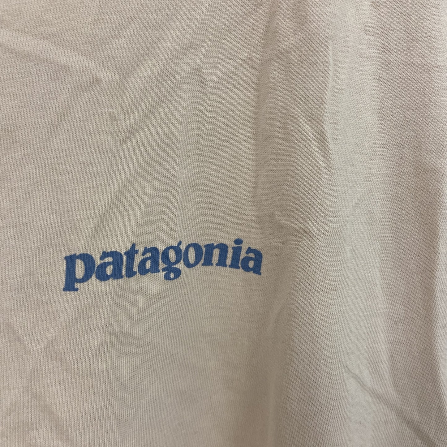 Patagonia　パタゴニア　半袖Tシャツ　ベージュ　Lサイズ