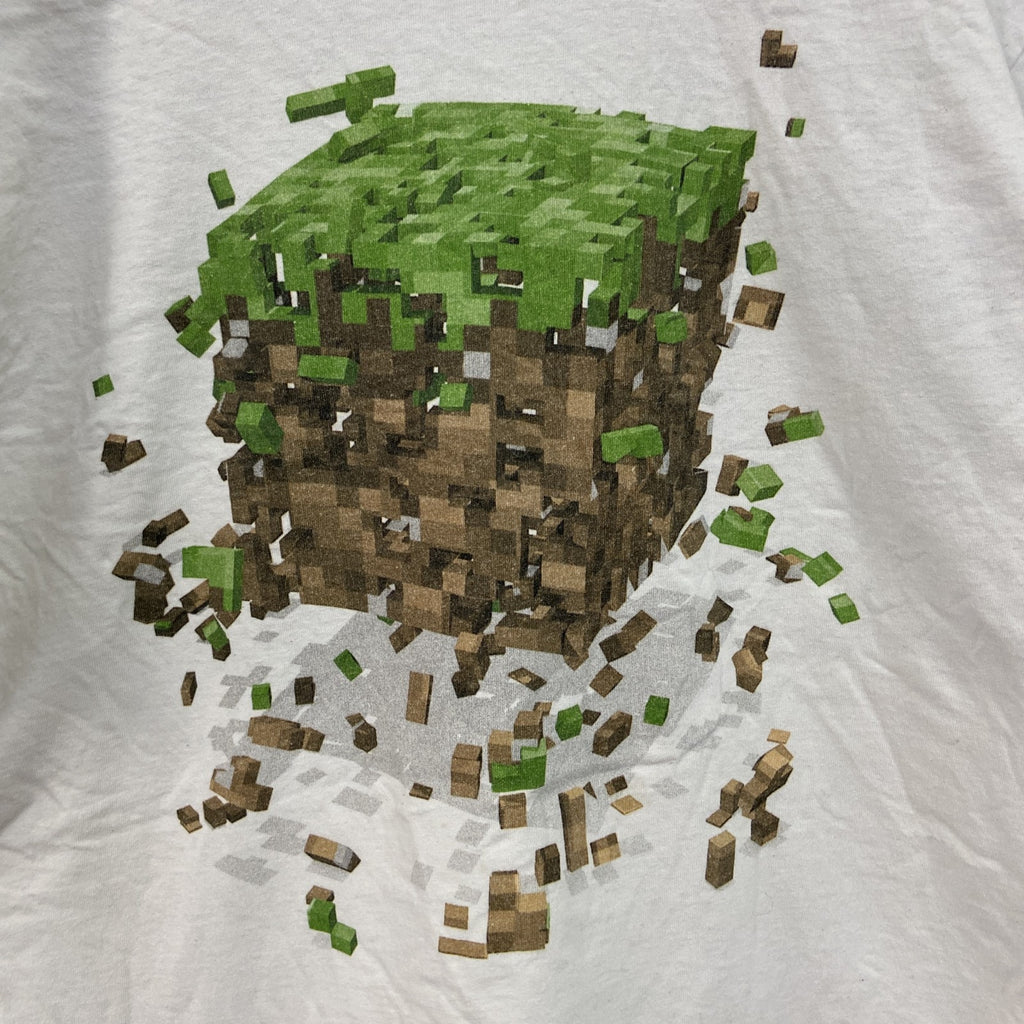 古着 used　フルーツオブザルーム　半袖プリントTシャツ　マインクラフト　クルーネック　レトロデザイン　白　ホワイト