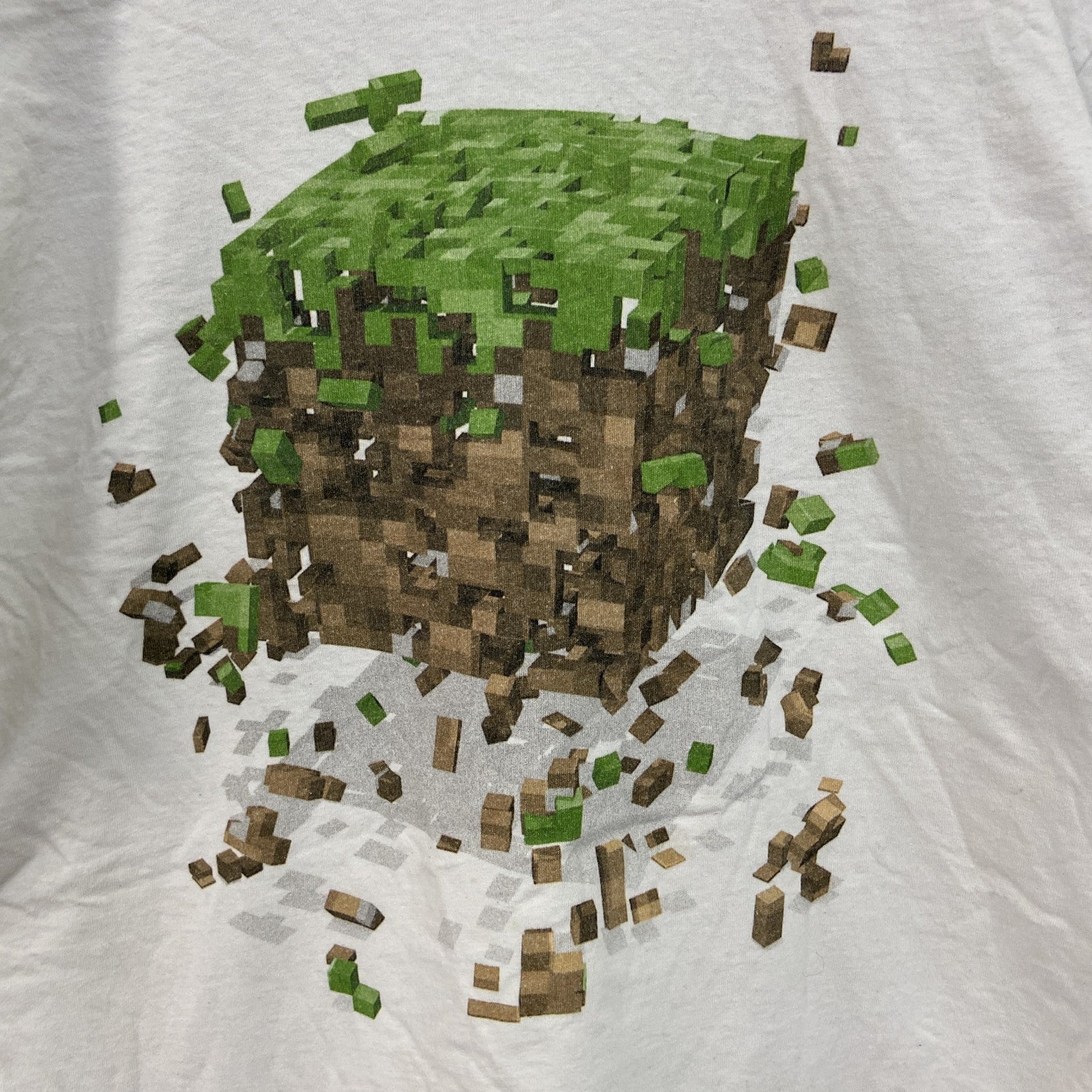 古着 used　フルーツオブザルーム　半袖プリントTシャツ　マインクラフト　クルーネック　レトロデザイン　白　ホワイト