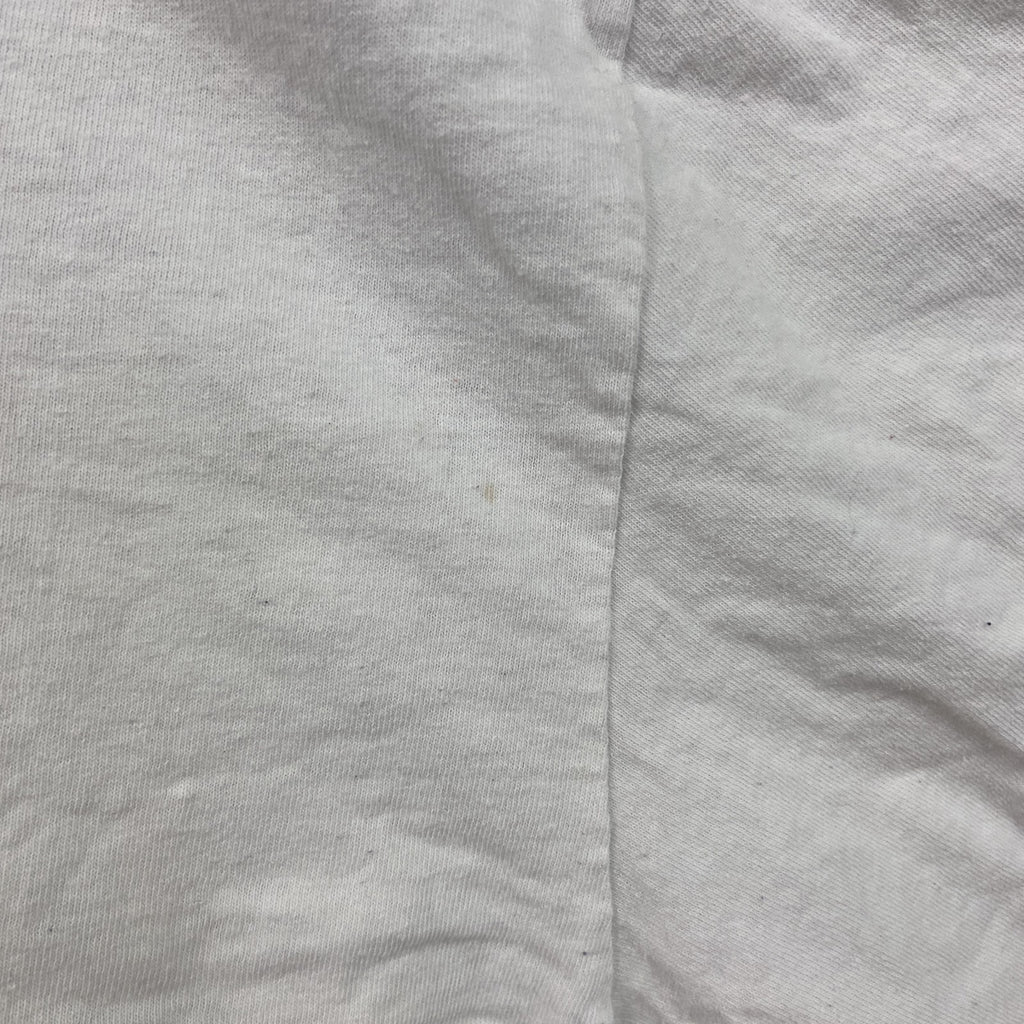 古着 used　フルーツオブザルーム　半袖プリントTシャツ　マインクラフト　クルーネック　レトロデザイン　白　ホワイト