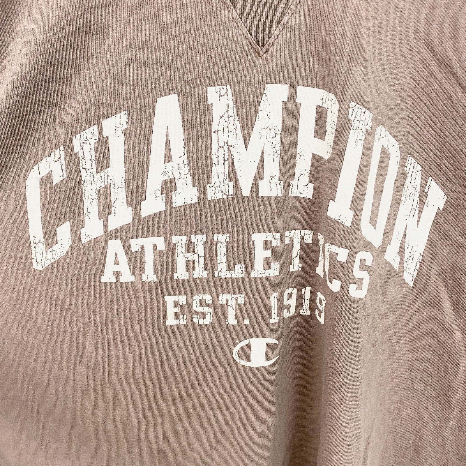 古着 used　champion　チャンピオン　半袖ロゴプリントTシャツ　クルーネック　V字ガゼット　ブラウン　Lサイズ